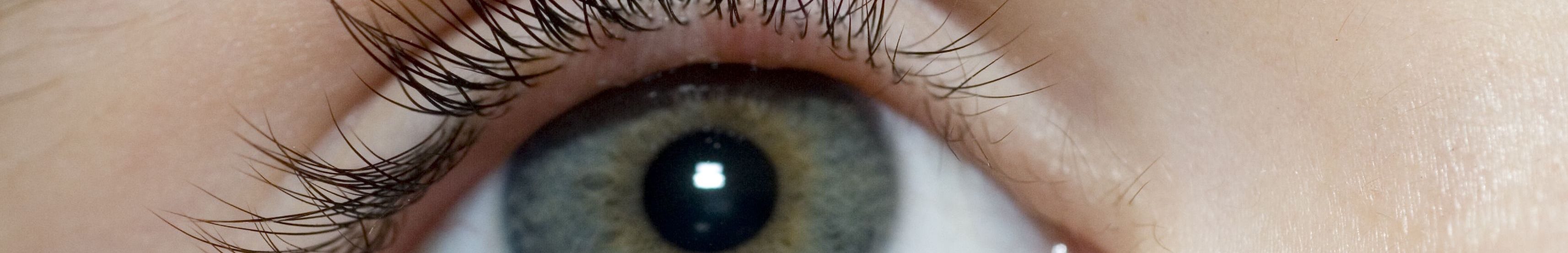 Blog Adelaide City Optometrist Book An Eye Test